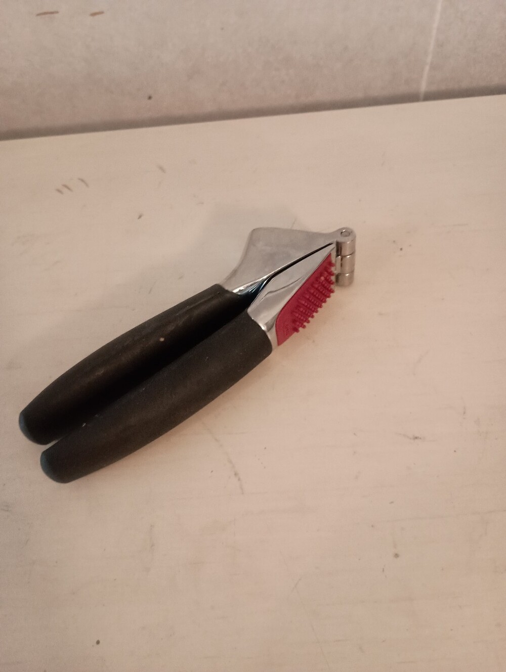 Hand Held Garlic Press